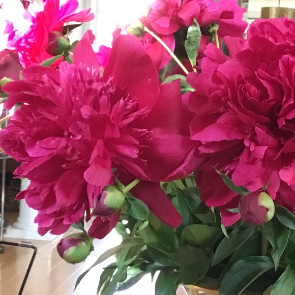 ALL DENIM REDUCED TODAY - Picture 2 of 2